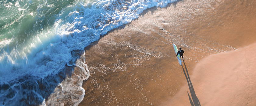 Insights and strategies for hedge fund success in a dynamic market